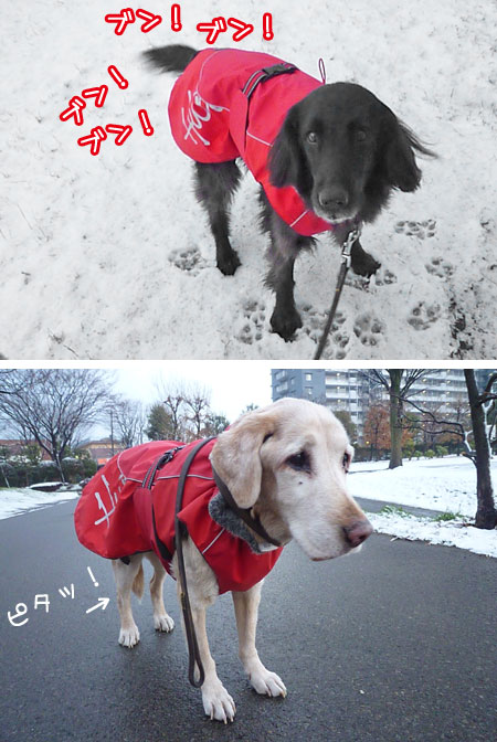 20130213.jpg