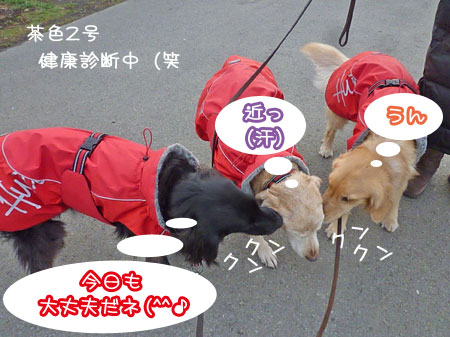 20130305.jpg