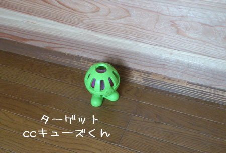 20130310-02.jpg