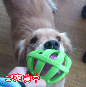 20130310-03.jpg