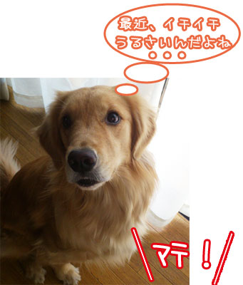 20130310.jpg