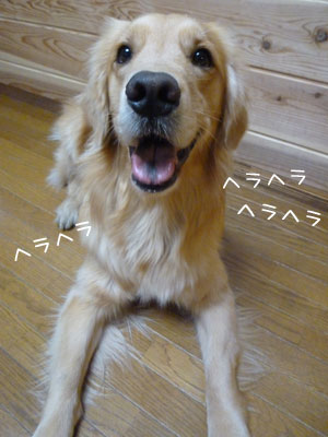 20130313.jpg