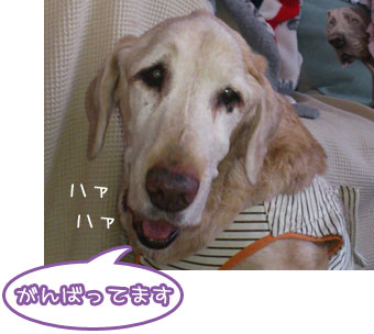 20130314.jpg