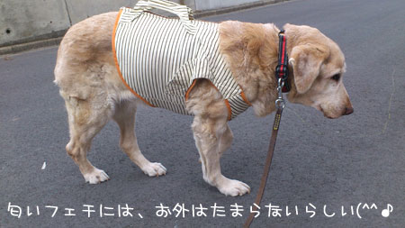 20130315.jpg