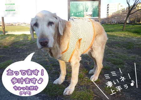 20130317.jpg