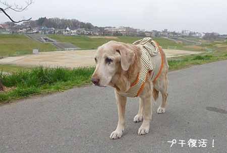 20130318-02.jpg