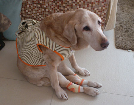 20130318.jpg