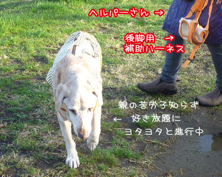 20130319.jpg