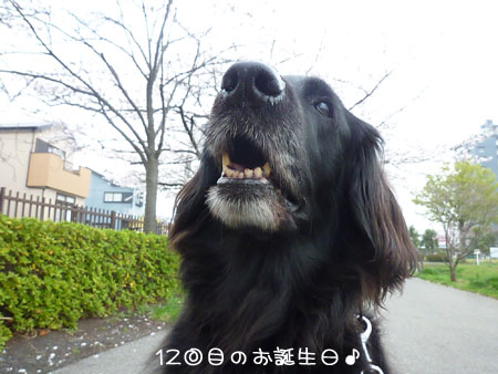 20130330.jpg