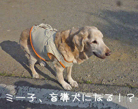 20130508.jpg