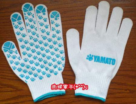 20130516.jpg