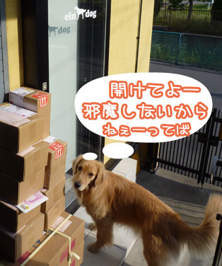 20130608.jpg