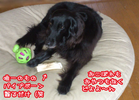 20130626.jpg