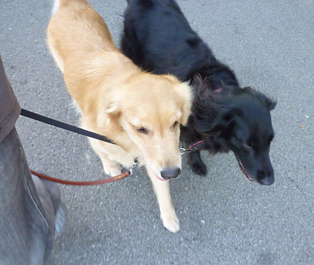 20130702.jpg