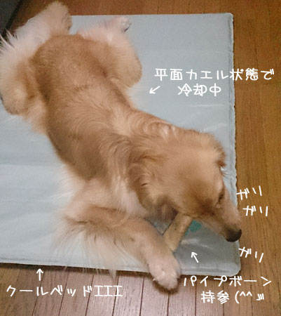 20130711.jpg