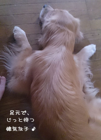20130805.jpg