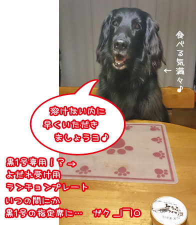 20130809-02.jpg
