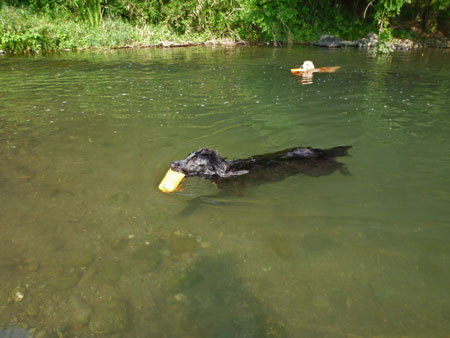 20130811-02.jpg