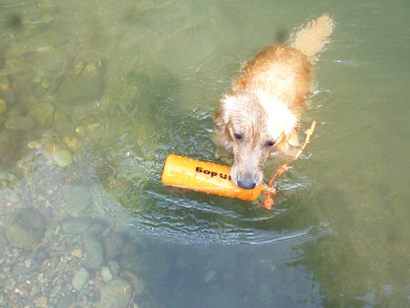 20130811-03.jpg