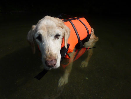20130811.jpg
