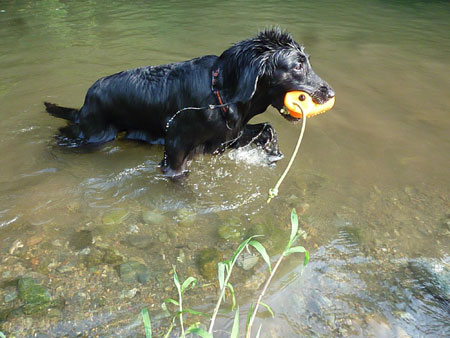 20130812-02.jpg