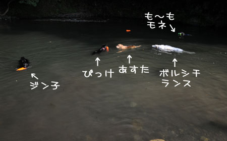 20130818-03.jpg