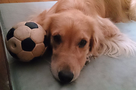 20130822.jpg