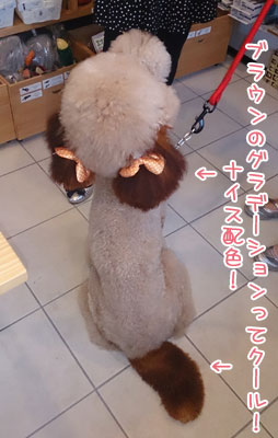 20130823.jpg