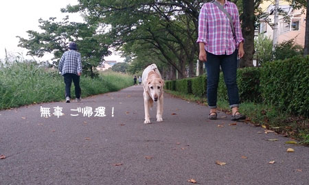 20130910-02.jpg