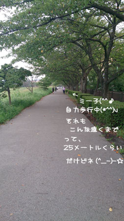 20130910.jpg