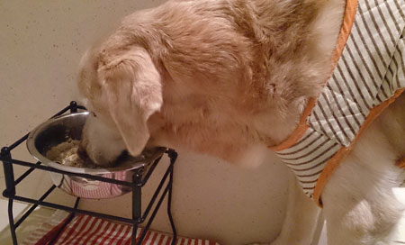 20130923.jpg