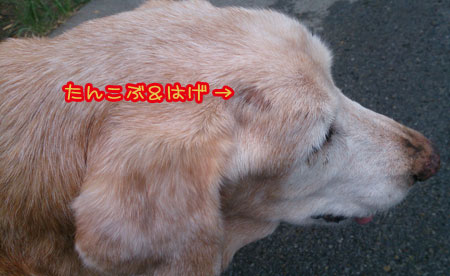 20130924.jpg
