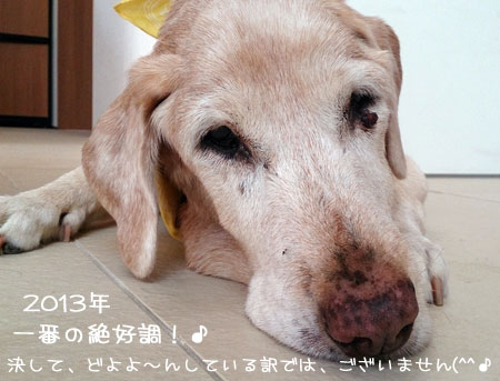 20131008-01.jpg