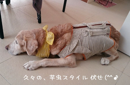 20131008.jpg