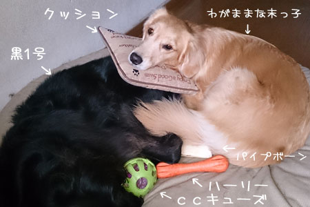 20131103.jpg