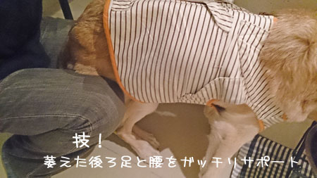 20131106.jpg