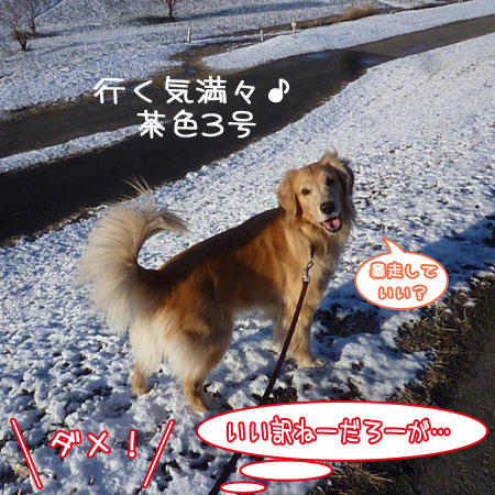 20140205-02.jpg