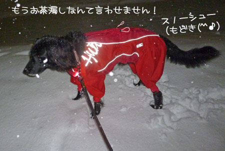 20140215.jpg