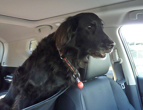 20150212-02.jpg