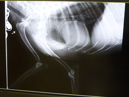 20150212.jpg