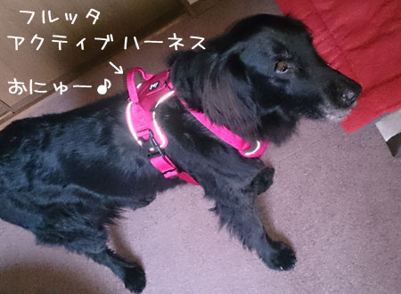 20150304.jpg