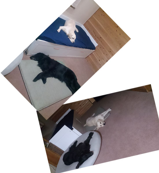20150509.jpg