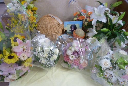 20150610.jpg