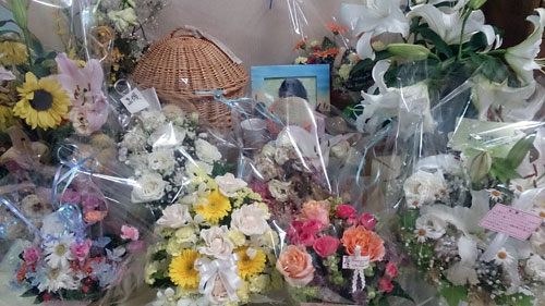 20150615.jpg