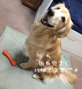 20150803.jpg