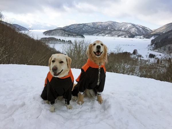 犬連れスノーシュー @桧原湖