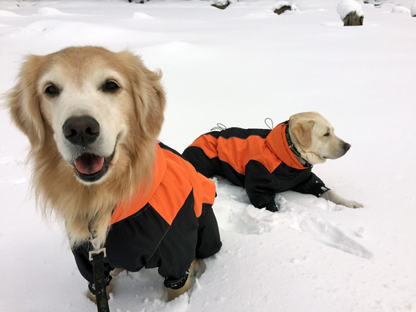 犬連れスノーシュー @桧原湖