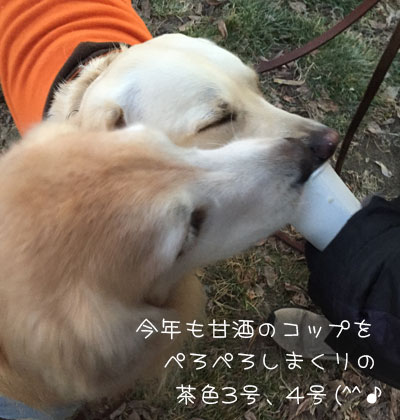 20180101-02.jpg