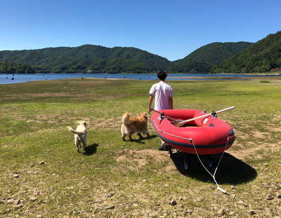 桧原湖,水遊び,泳ぐ,ゴールデンレトリーバー,ラブラドールレトリーバー,フラットコーテッドレトリーバー,ボート遊び,大型犬