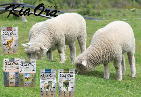 �L�A�I�� Kia Ora�@�h�b�O�t�[�h